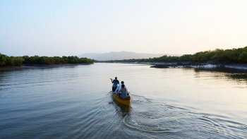 Z farmy k moři: Zachování mangrovových porostů pro ochranu místních zdrojů obživy a planety