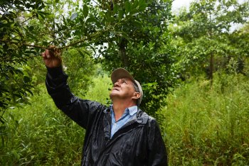 Lesní inženýr Alberto Florentín procestoval celou Paraguay a studoval původní flóru a faunu ve všech regionech. O své znalosti o produkci yerba maté se dělí se sousední komunitou Palomita I společnosti Forestal Apepu.