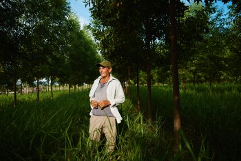 Společnost Serafino Gonzalez se účastní modelu pěstitelů společnosti Forestal Apepu, v jehož rámci si společnost pronajímá pozemky se dřevem na pozemcích drobných vlastníků za podíl na zisku, přičemž se vlastníci pozemků zavazují, že budou pozemky ud