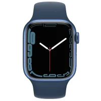 Apple Watch 9/8/7 (45mm)