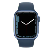 Apple Watch 9/8/7 (41mm)